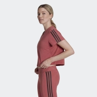 ADIDAS WOMENS CROP TEE