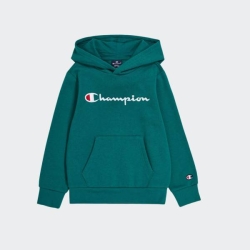 CHAMPION BOYS AMERICAN CLASSICS HOODED SWEATSHIRT