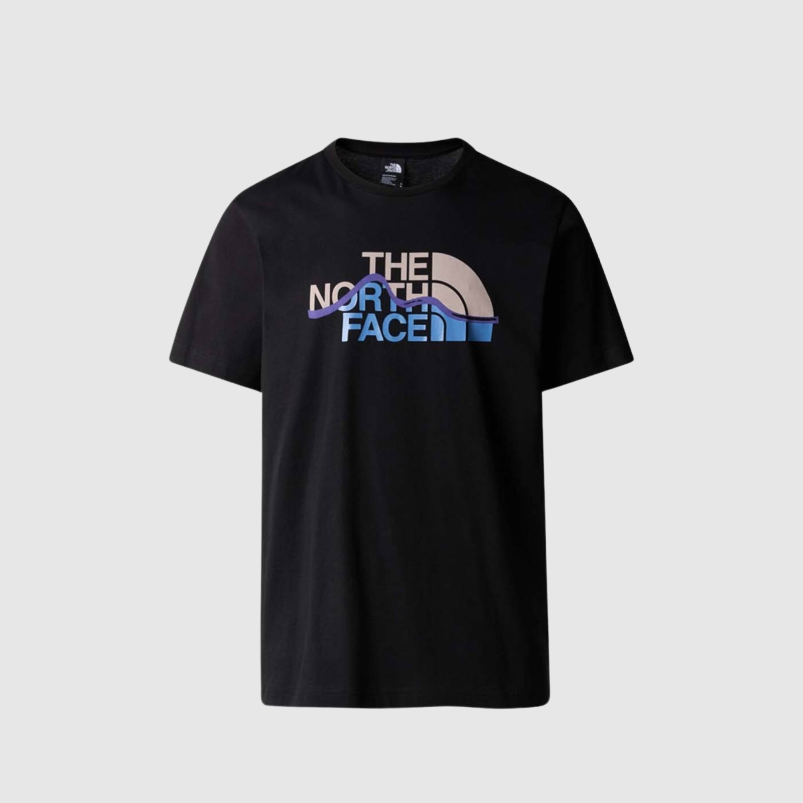 THE NORTH FACE MENS MOUNTAIN LINE TEE