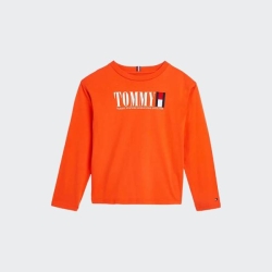 TOMMY HILFIGER GRAPHIC BOYS TEE LONG SLEEVE