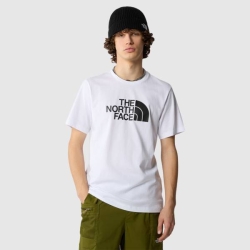THE NORTH FACE MENS EASY TEE