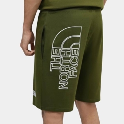THE NORTH FACE MENS GRAPHIC SHORT LIGT