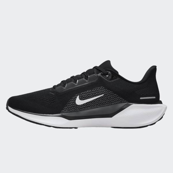 NIKE AIR ZOOM PEGASUS 41
