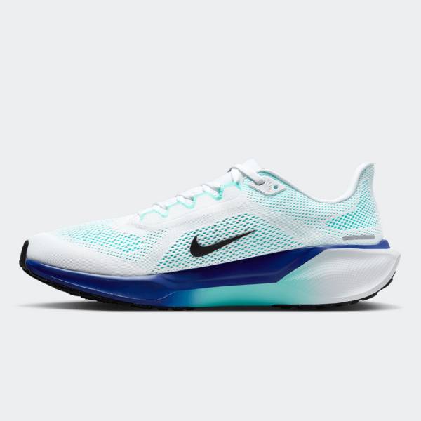 NIKE AIR ZOOM PEGASUS 41